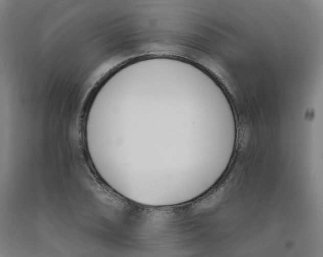 X0000091991074200709271443