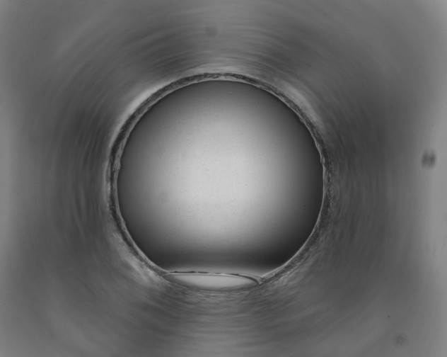 X0000091991076200709271443