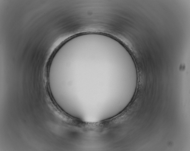 X0000091991078200709271443