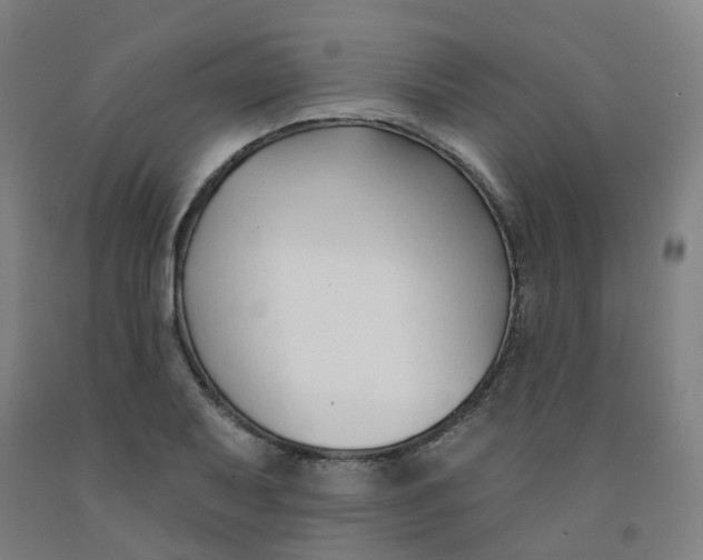 X0000091991079200709271443