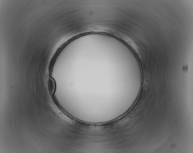 X0000091991080200709271443