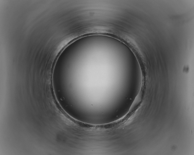 X0000091991081200709271443