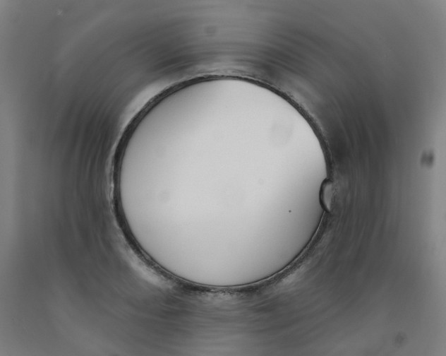 X0000091991082200709271443