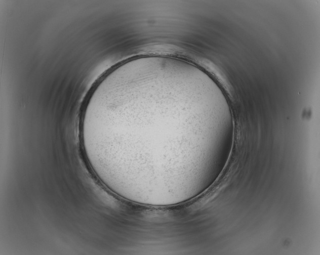 X0000091991083200709271443