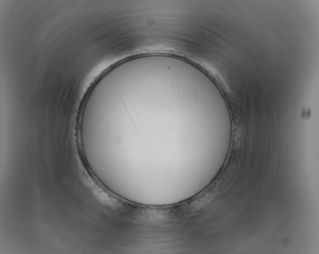 X0000091991086200709271443