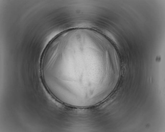 X0000091991087200709271443