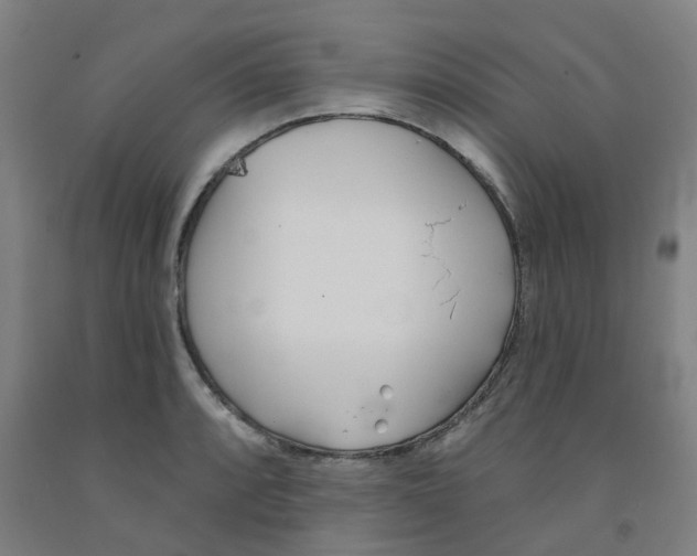 X0000091991088200709271443