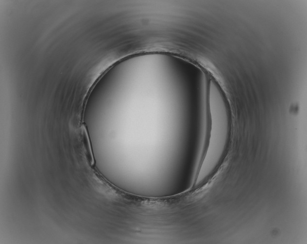 X0000091991089200709271443