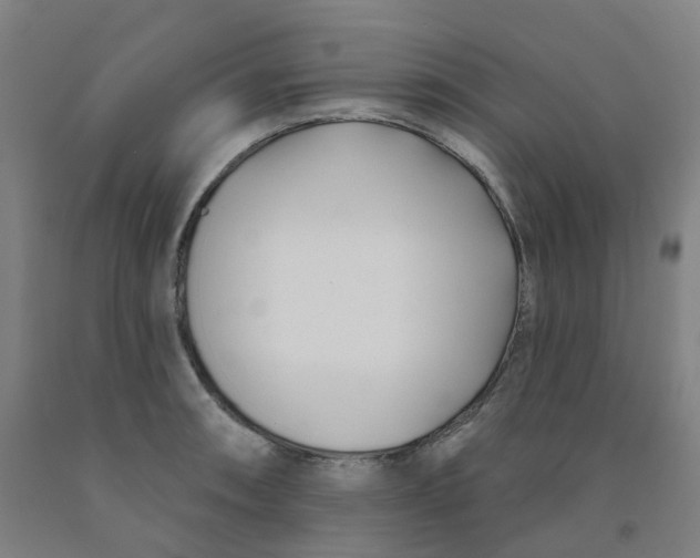 X0000091991090200709271443