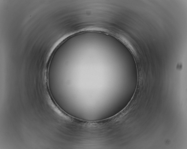 X0000091991092200709271443