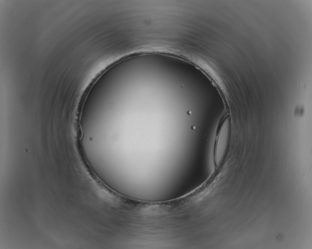 X0000091991093200709271443