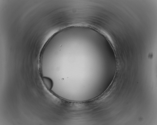 X0000091991095200709271443