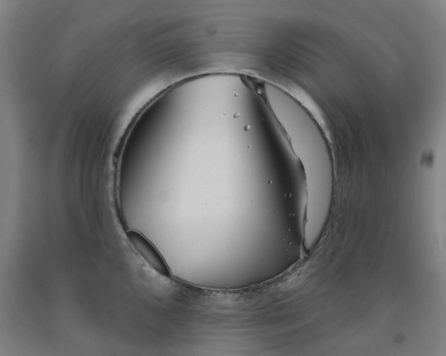 X0000091991096200709271442