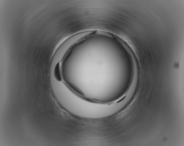 X0000091991097200709271442