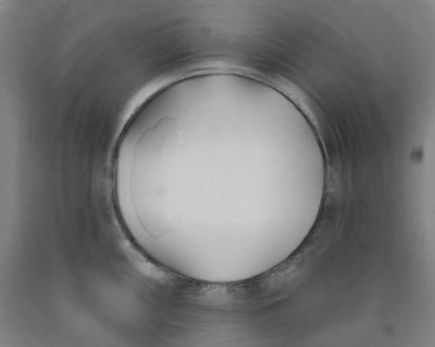 X0000091991098200709271442