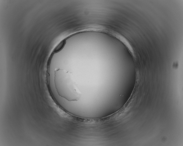 X0000091991099200709271442