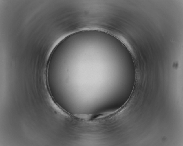 X0000091991100200709271442