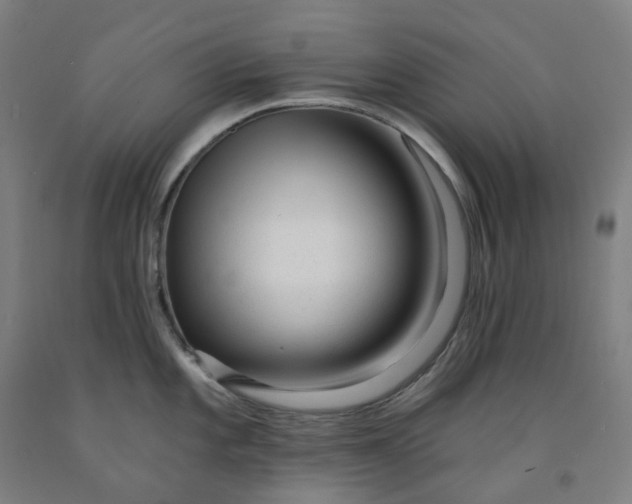 X0000091991101200709271442