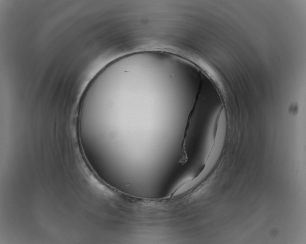 X0000091991102200709271442