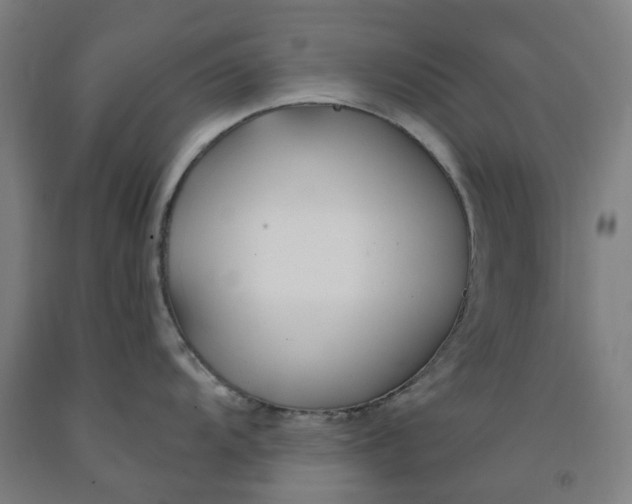 X0000091991104200709271442