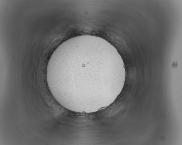 X0000091991105200709271442