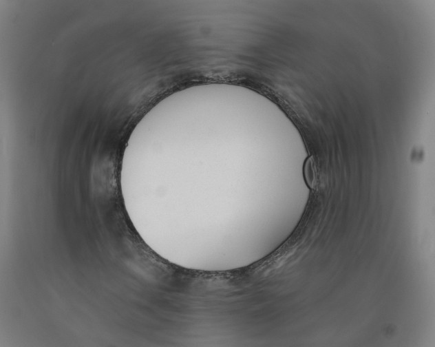 X0000091991106200709271442