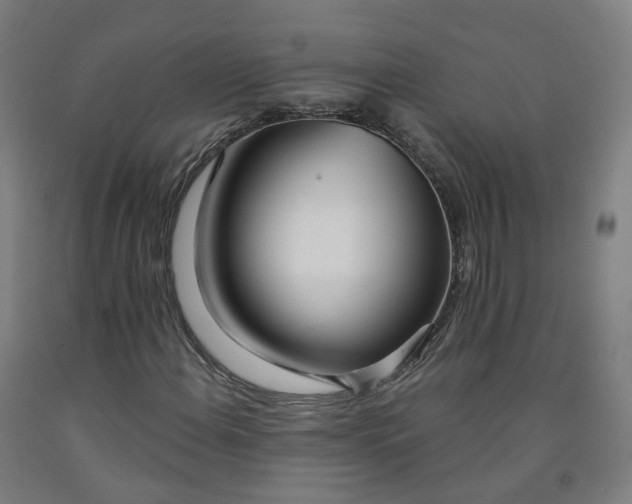 X0000091991108200709271442