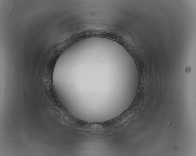 X0000091991109200709271442