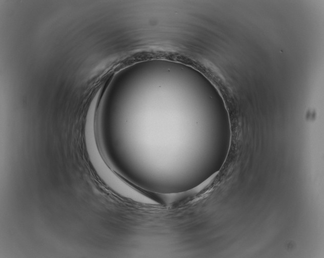 X0000091991110200709271442