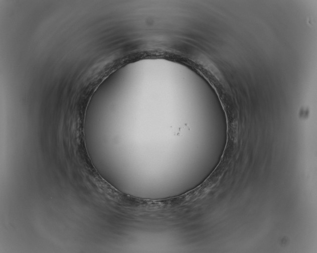 X0000091991111200709271442