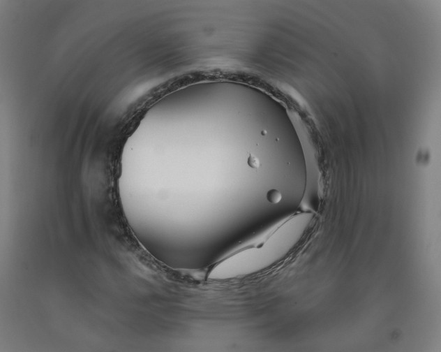 X0000091991112200709271442