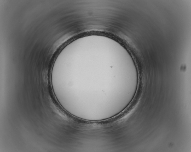 X0000091991113200709271442