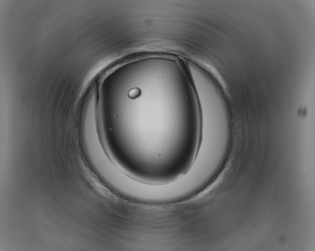 X0000091991114200709271442