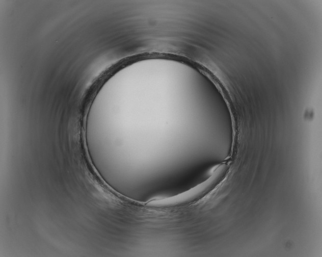 X0000091991115200709271442