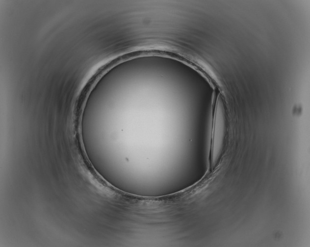 X0000091991116200709271442