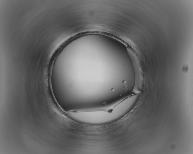 X0000091991120200709271442