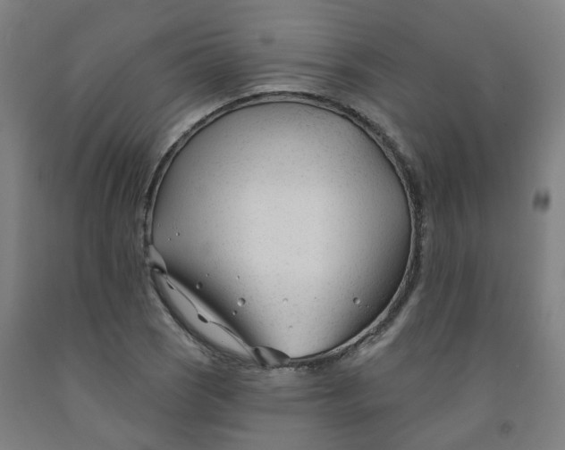 X0000091991121200709271442