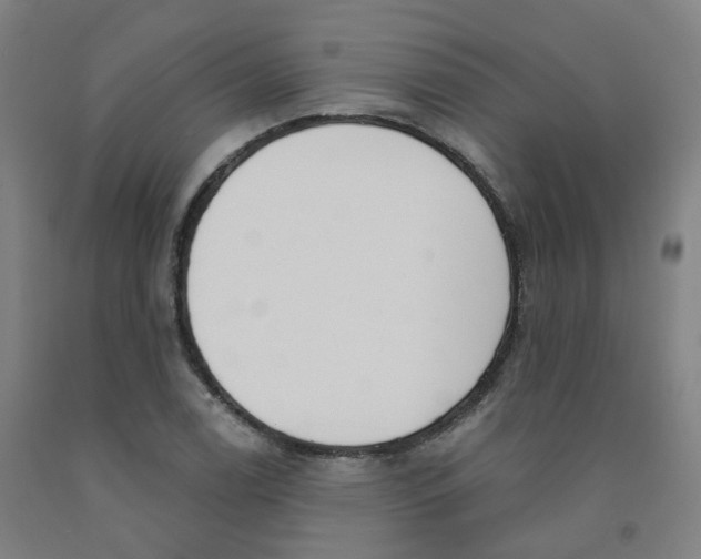 X0000091991122200709271442