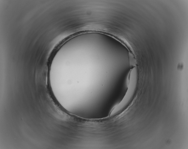 X0000091991123200709271442