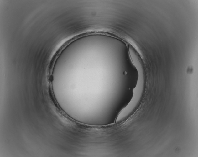 X0000091991124200709271442