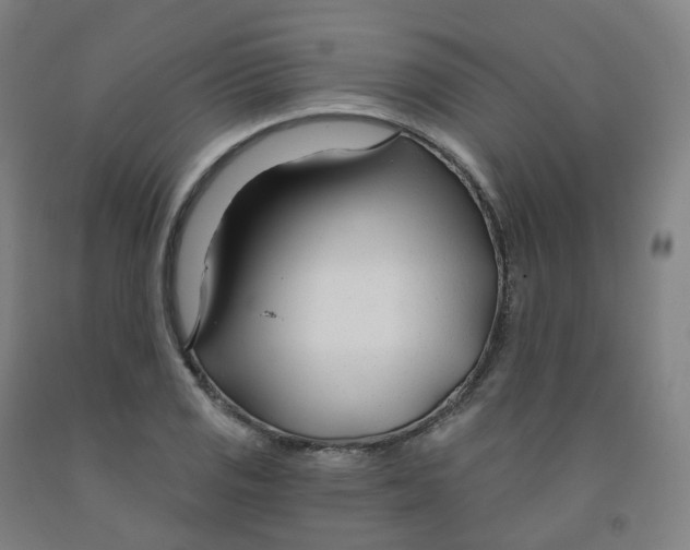 X0000091991125200709271442