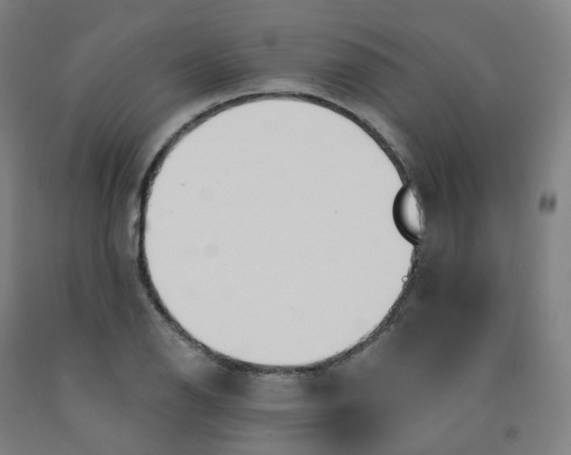 X0000091991126200709271442