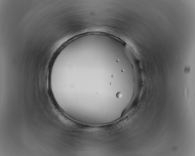 X0000091991127200709271442