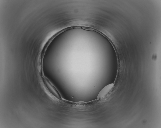 X0000091991128200709271442