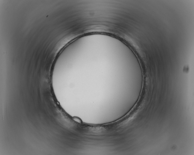 X0000091991129200709271442