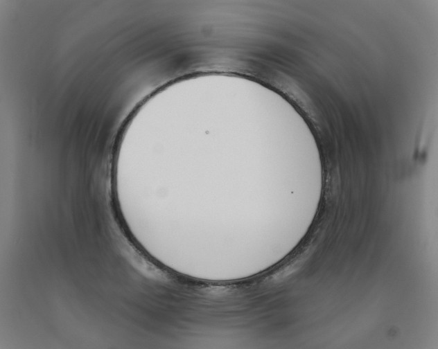 X0000091991130200709271442