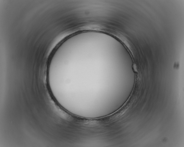 X0000091991131200709271442