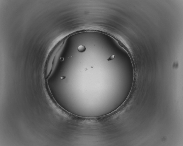 X0000091991133200709271442