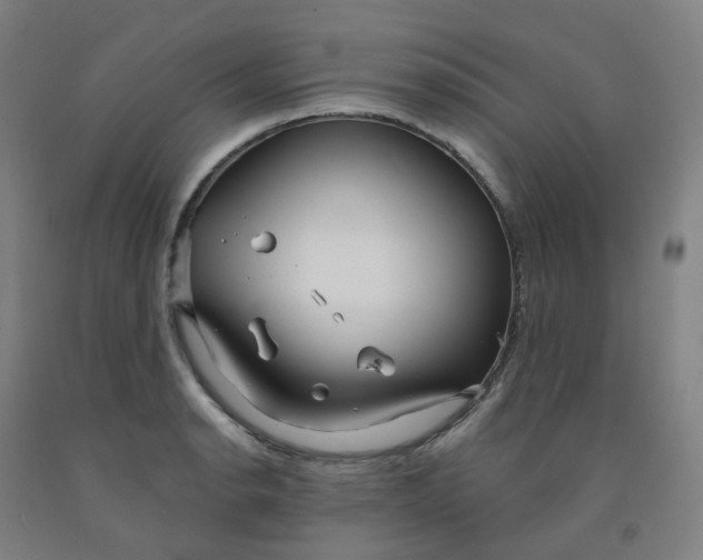 X0000091991134200709271442