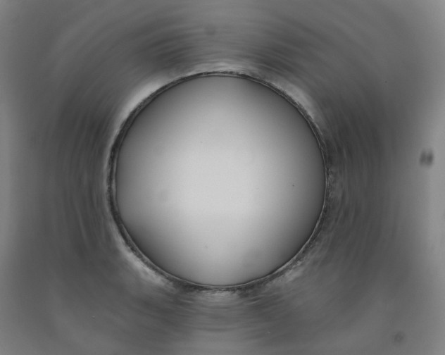 X0000091991135200709271442